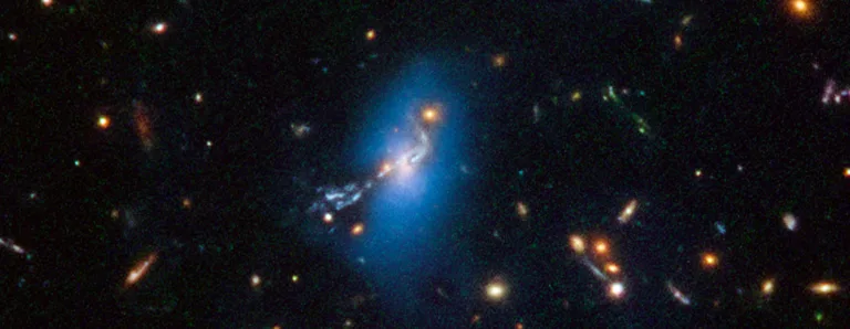 哈勃發現飢餓的黑洞將捕獲的恆星扭曲成甜甜圈形狀
– 24新聞台